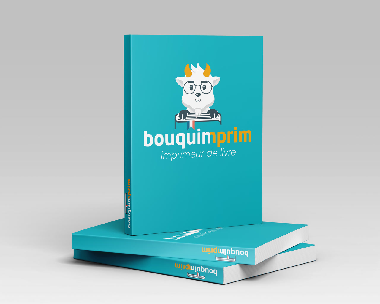 Exemple de livres imprimés par Bouquimprim